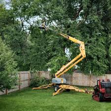 Reliable Pryor Creek, OK  Tree Services Solutions